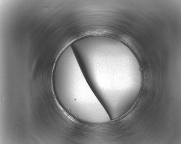 X0000067340802200603310923