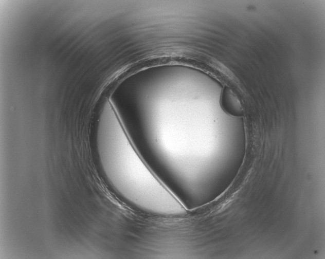 X0000067340826200603310922
