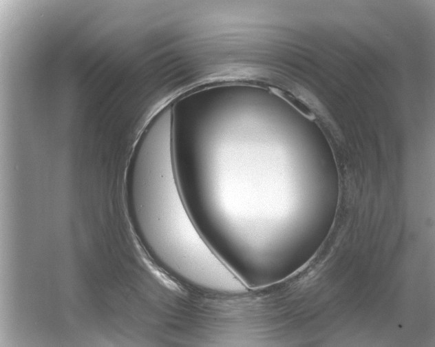 X0000067340842200603310922