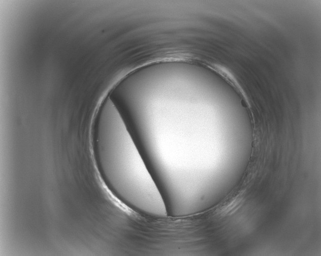 X0000067340851200603310922
