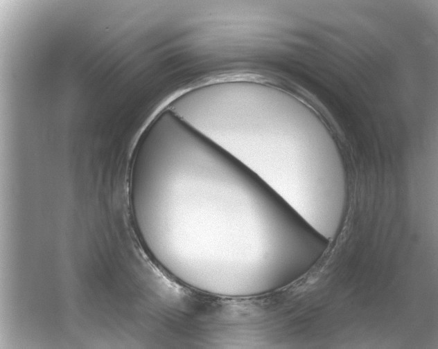 X0000067340852200603310922