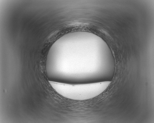 X0000067340869200603310922