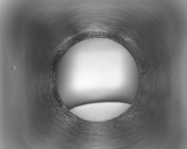 X0000067340870200603310922