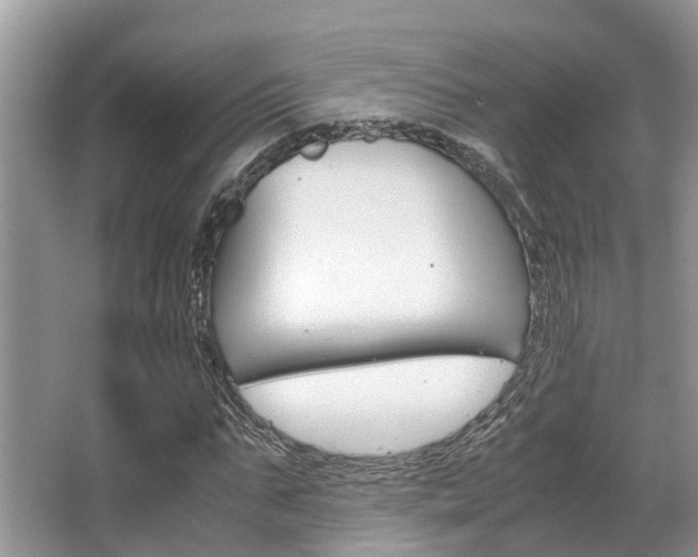 X0000067340871200603310922