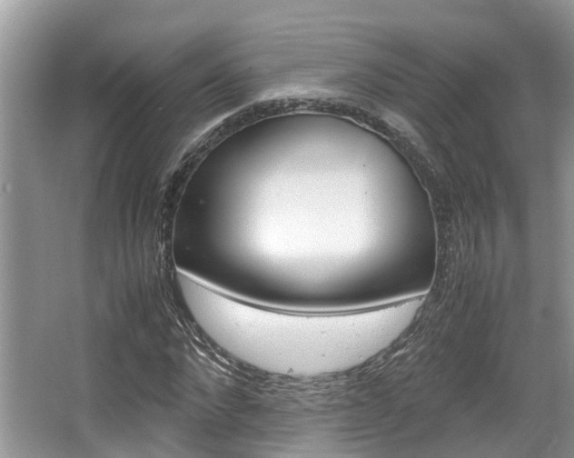 X0000067340872200603310922