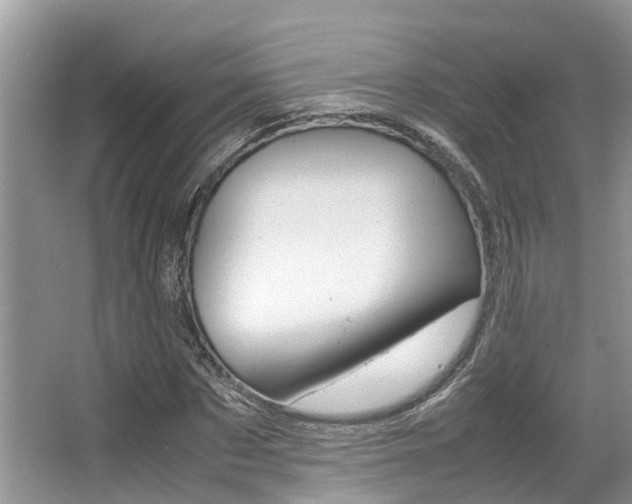 X0000067340873200603310922