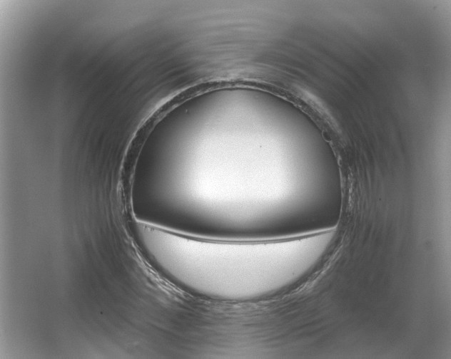 X0000067340876200603310922