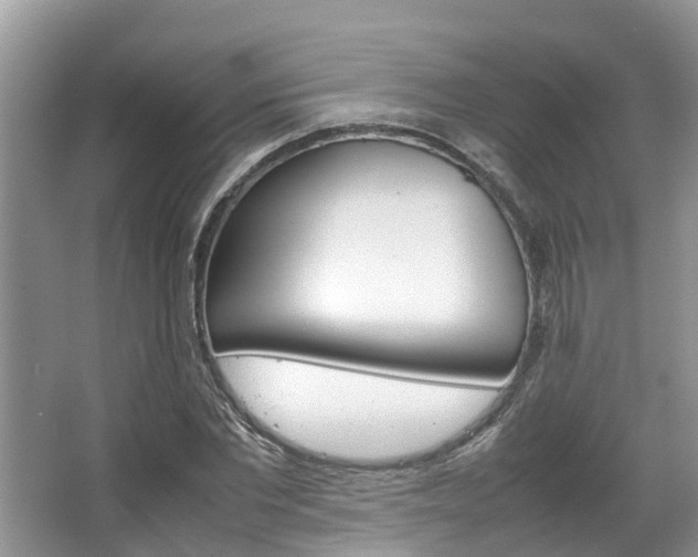 X0000067340877200603310922