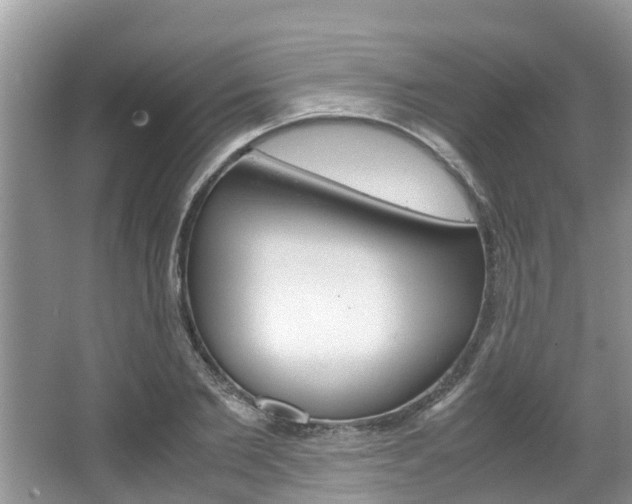 X0000067340885200603310922