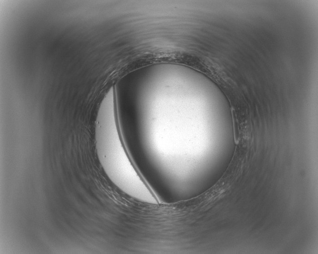 X0000067340916200603310920