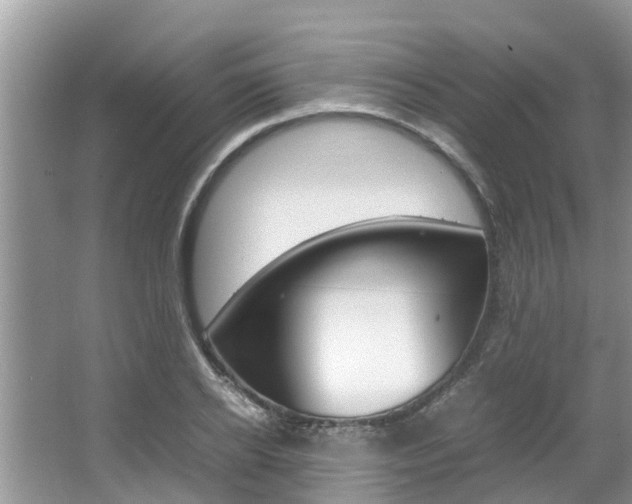 X0000067340934200603310921