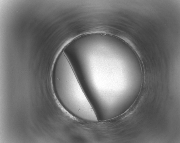 X0000067340949200603310921