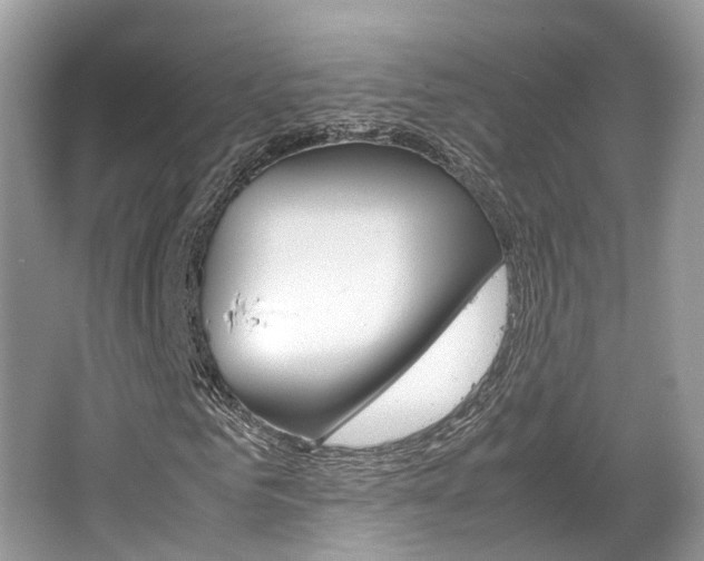 X0000067340961200603310920