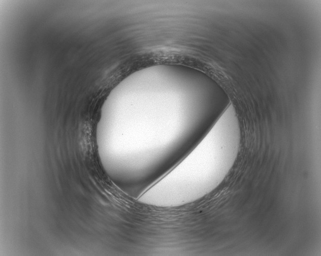 X0000067340964200603310920