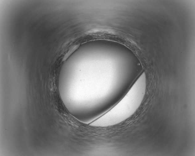X0000067340965200603310920