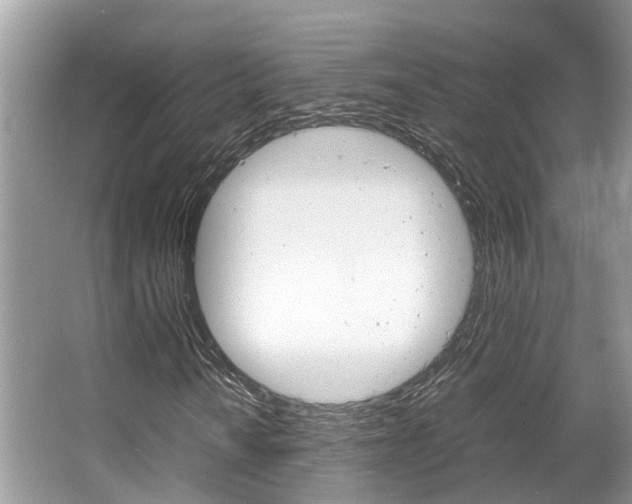 X0000067341010200603310919