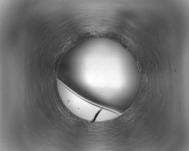 X0000067341012200603310919