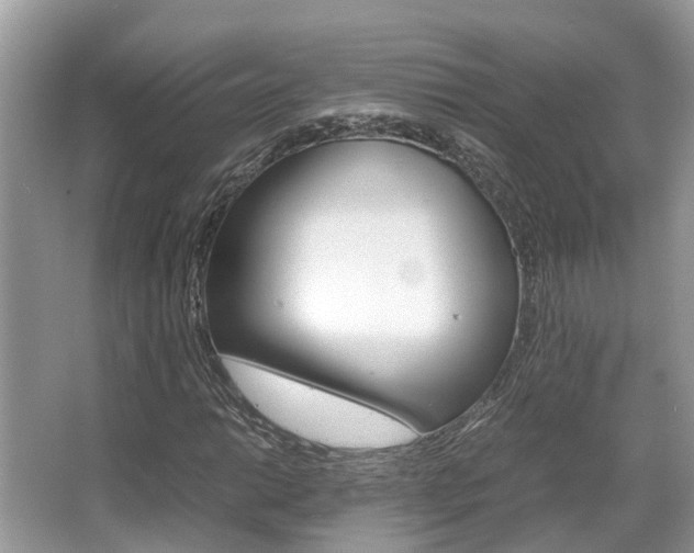 X0000067341014200603310919