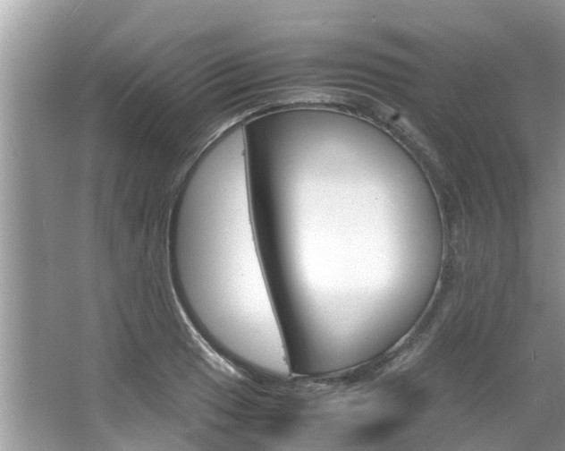 X0000067341033200603310919