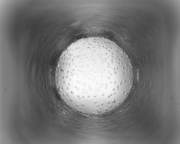 X0000067341059200603310919