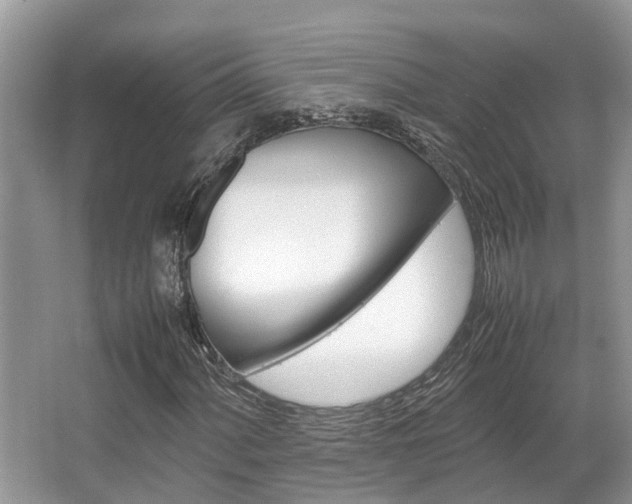 X0000067341060200603310919