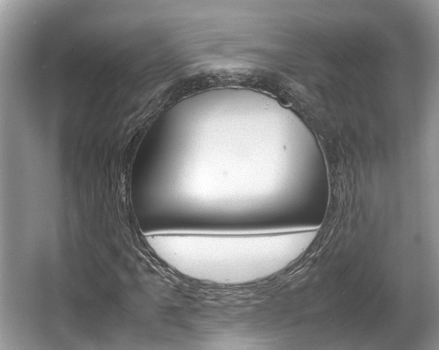 X0000067341061200603310919