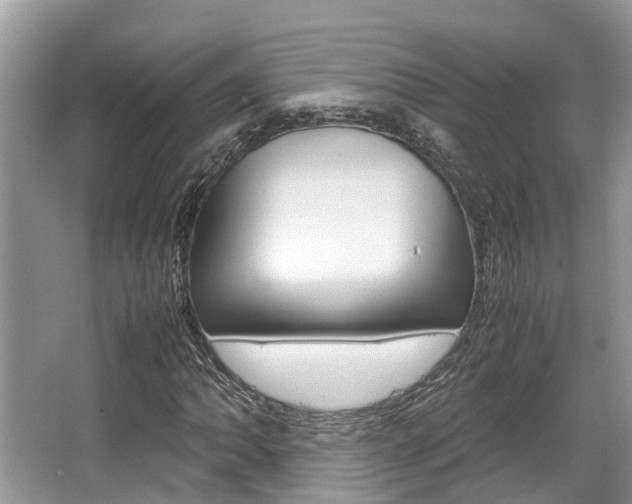 X0000067341062200603310919