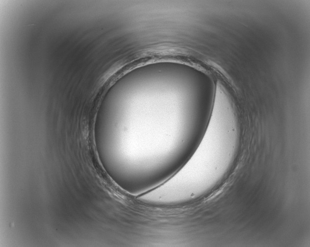 X0000067341065200603310918