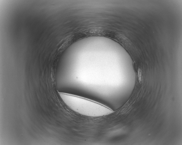 X0000067341107200603310917
