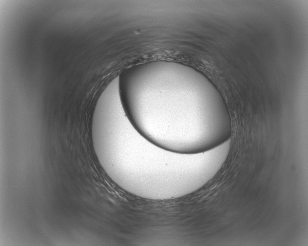 X0000067341109200603310917
