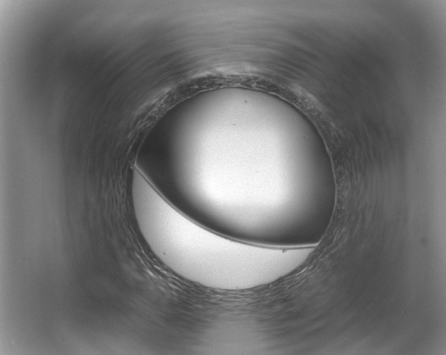 X0000067341110200603310917