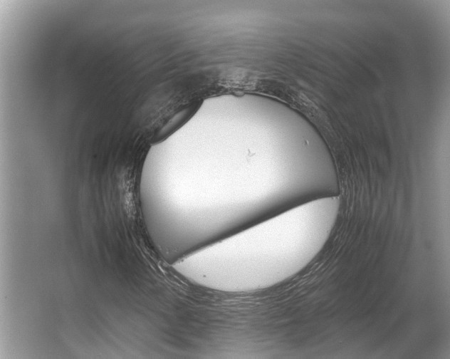 X0000067341154200603310917