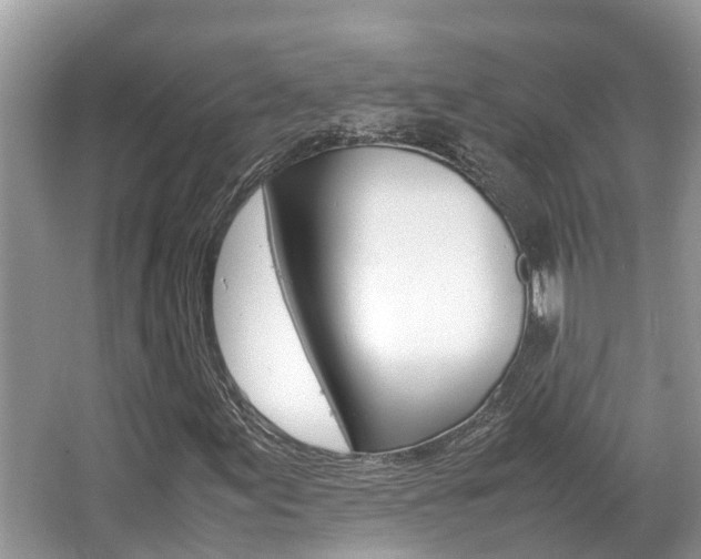 X0000067341155200603310917