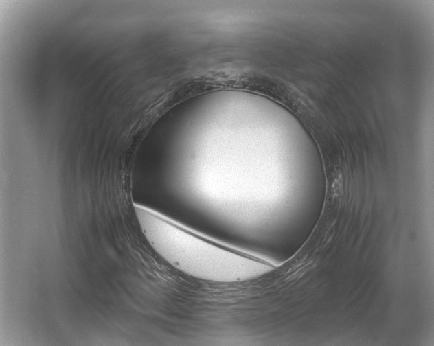 X0000067341156200603310917