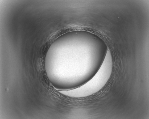 X0000067341157200603310917