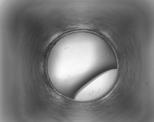 X0000067341163200603310917