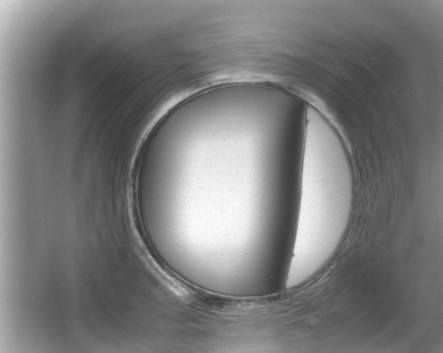X0000067341187200603310916