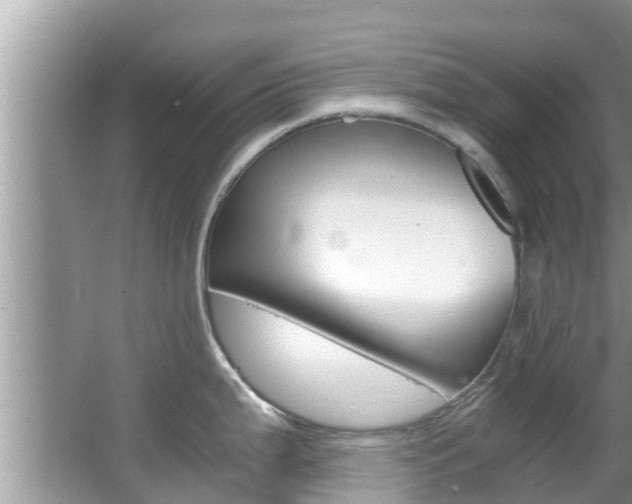 X0000067341199200603310916