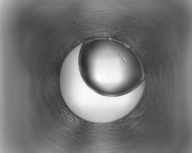 X0000067341202200603310915
