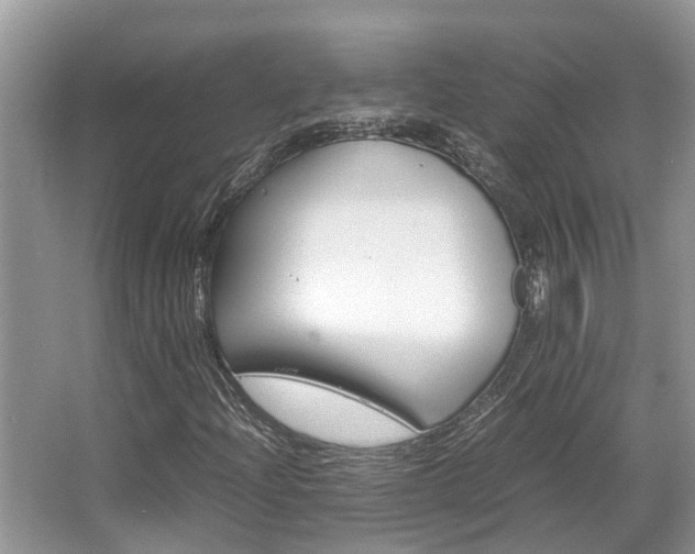 X0000067341204200603310915