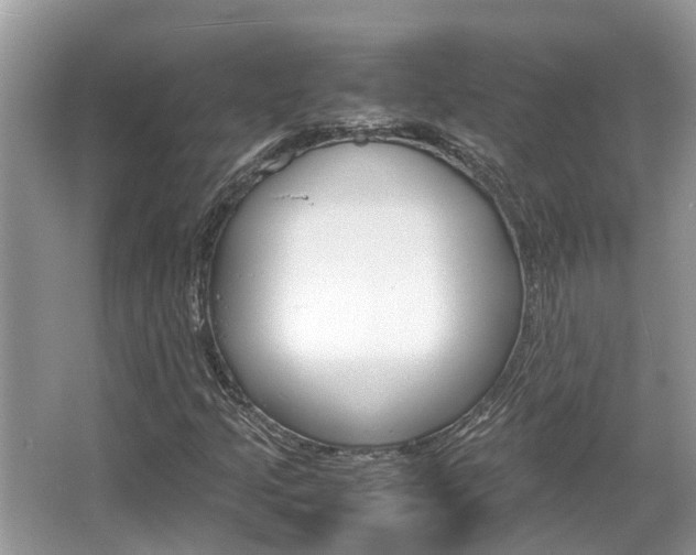 X0000067341205200603310915