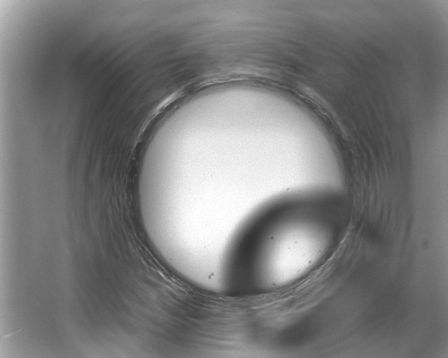 X0000067341210200603310916