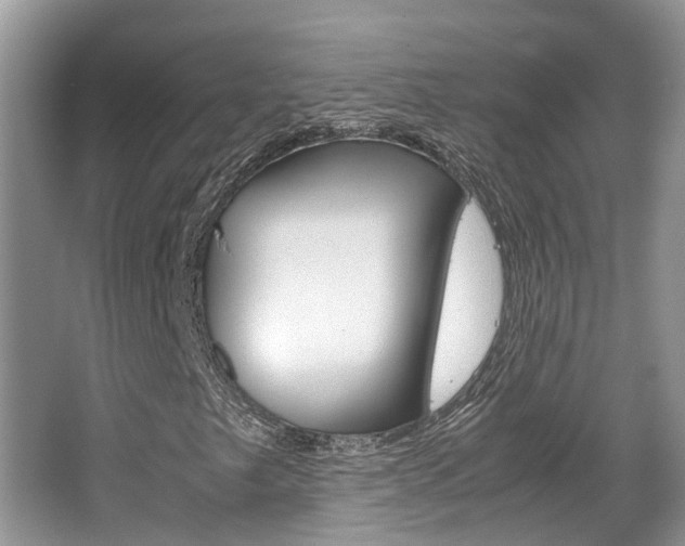 X0000067341249200603310915