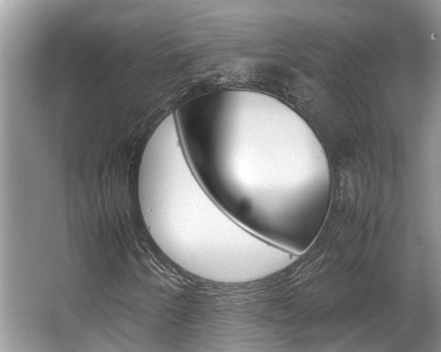 X0000067341250200603310915