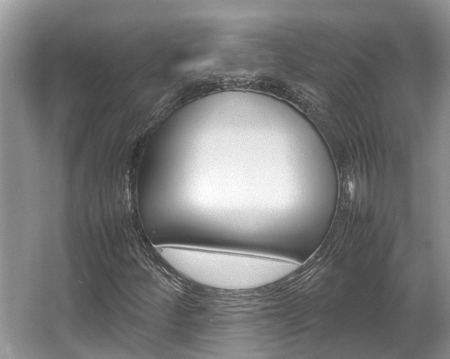 X0000067341252200603310915