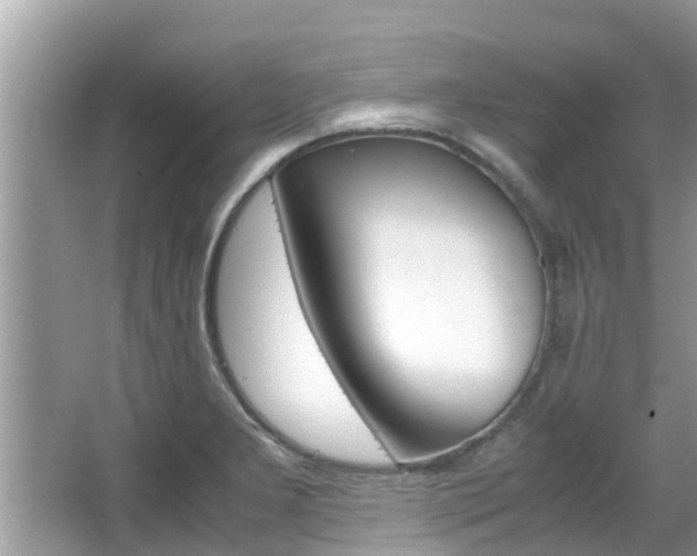 X0000067341277200603310915