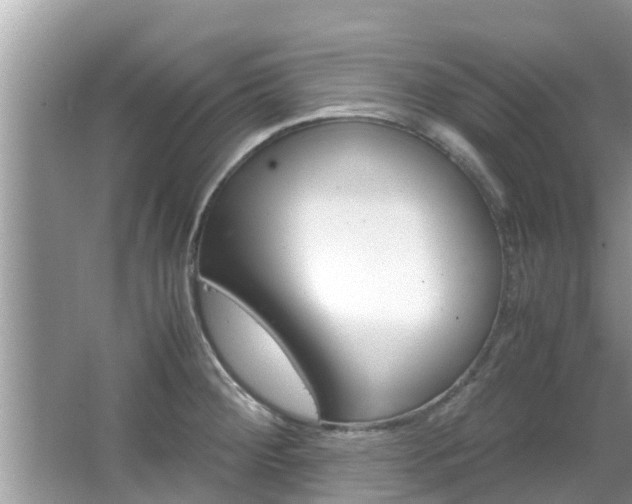 X0000067341284200603310915