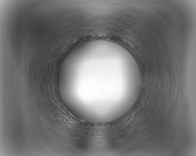 X0000067341297200603310914