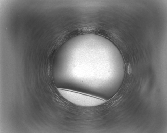 X0000067341299200603310914