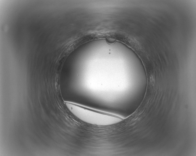 X0000067341300200603310914